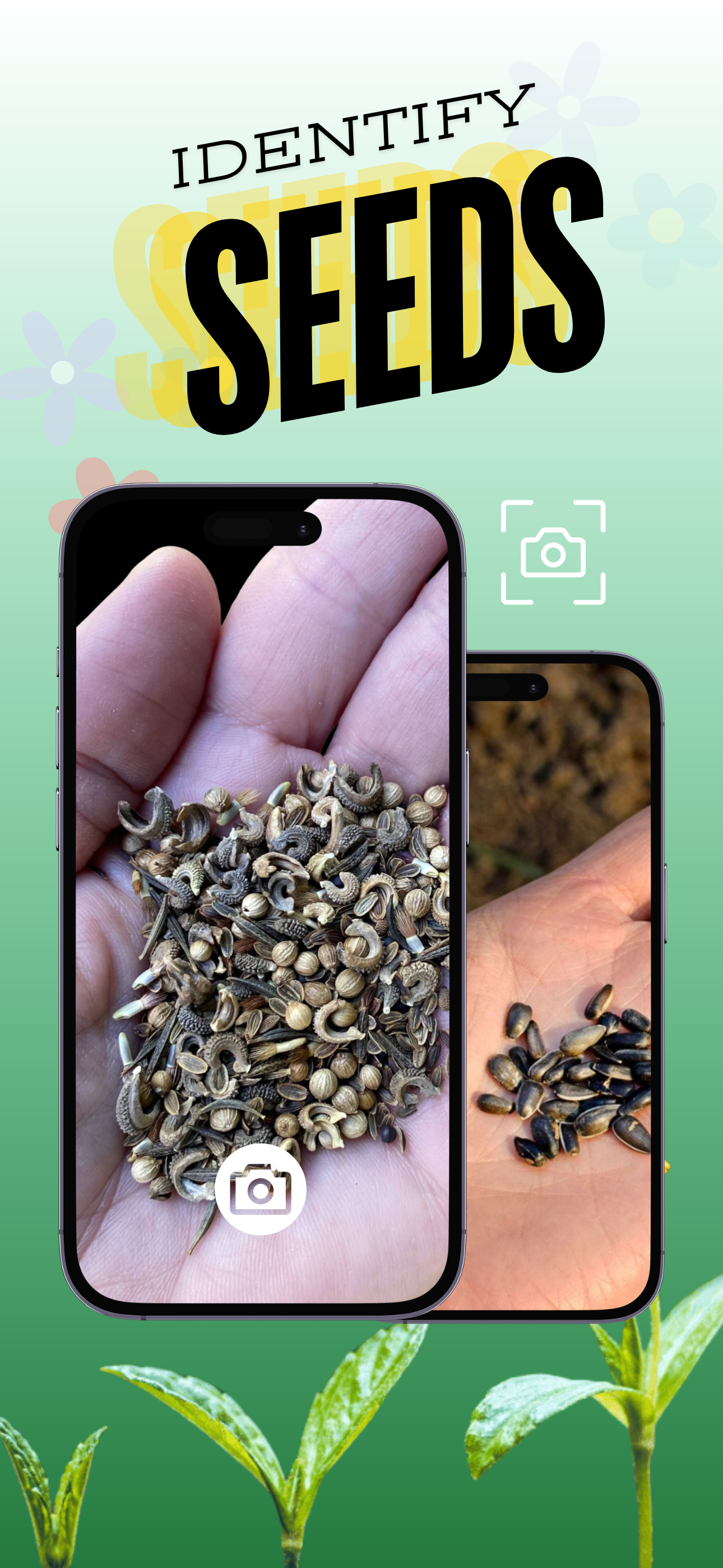 Seed identification app interface showing seed identification features
