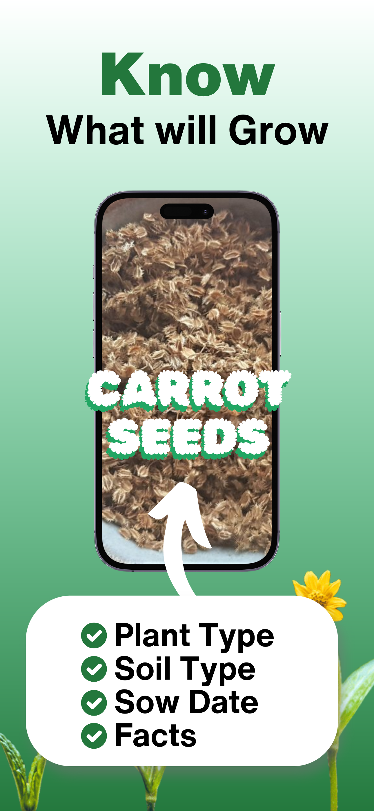 Viewing seed species details